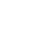 Novel-X